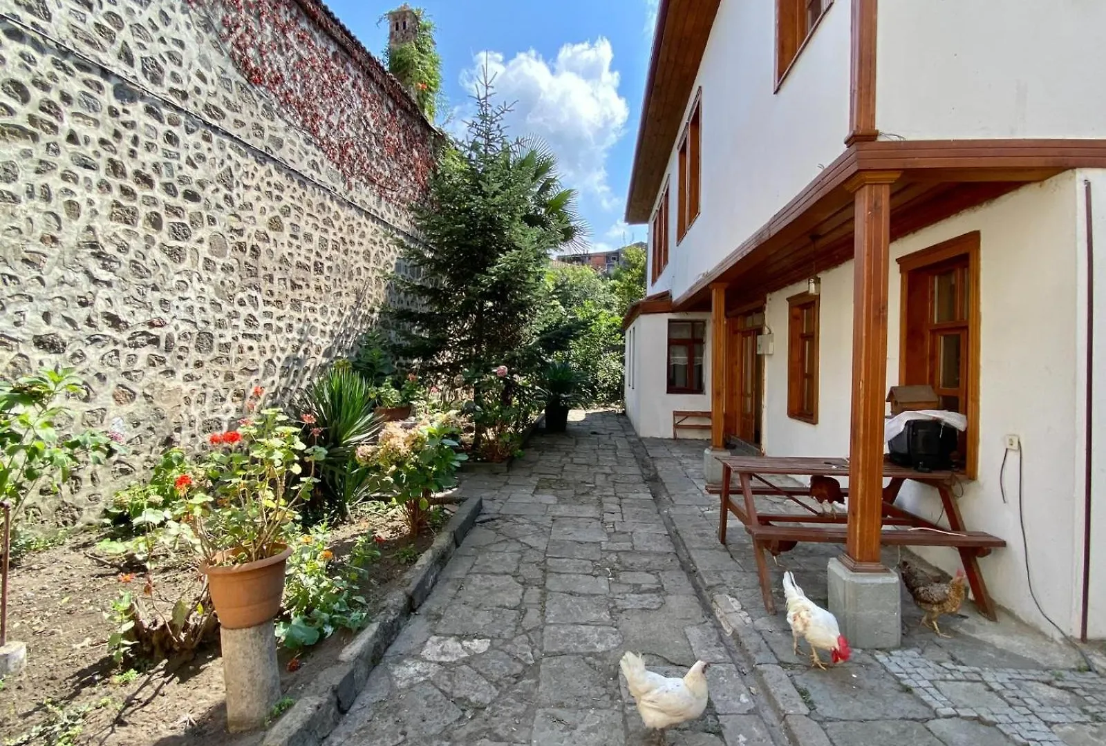Asiye Hanim Konagi Trabzon