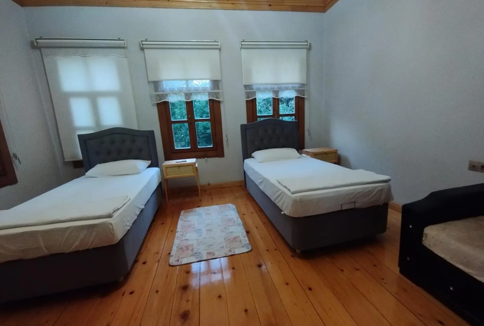 Villa Asiye Hanim Konagi Trabzon Turkey