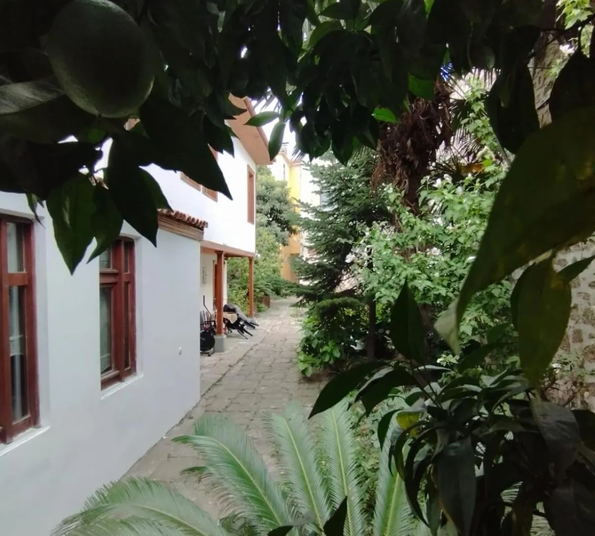 Asiye Hanim Konagi Trabzon Villa